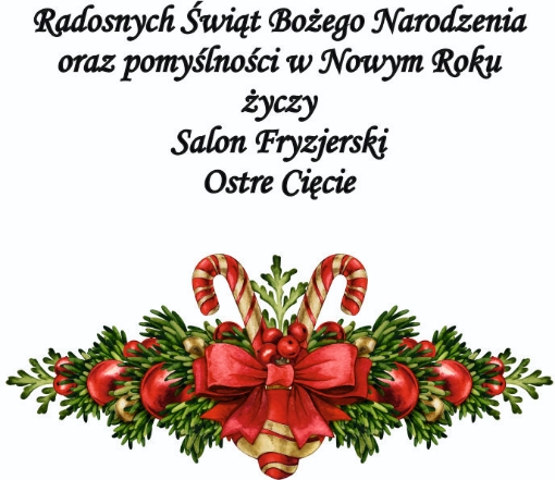 Obrazek Świąteczne ciasteczka z wróżbą - model 120